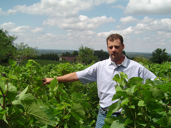 Cédric Joly dans les vignes